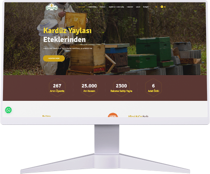 Web Tasarım