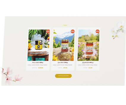 Web Tasarım